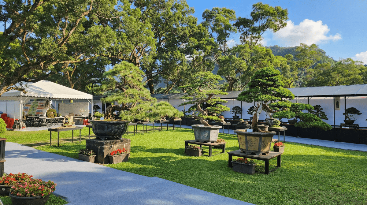 盆栽館 形象佔圖