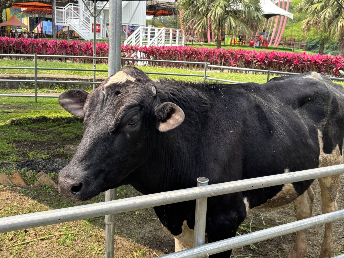 Livestock Museum 剪影 2