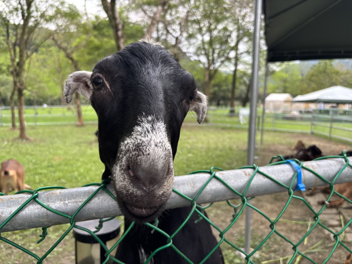 Livestock Museum 剪影 5