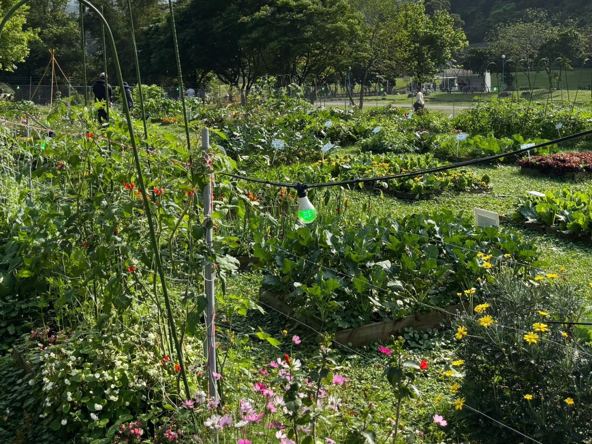 농업 박물관 剪影 4