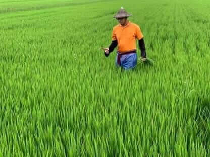 陳家荘農場 永續行動照片