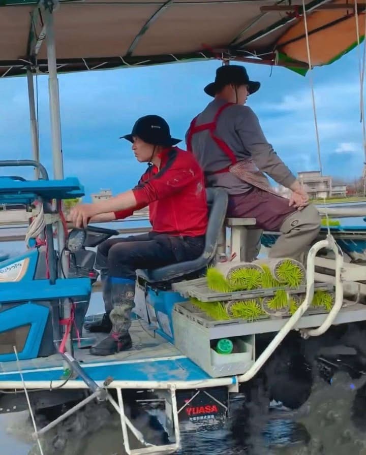 陳家荘農場 永續行動照片