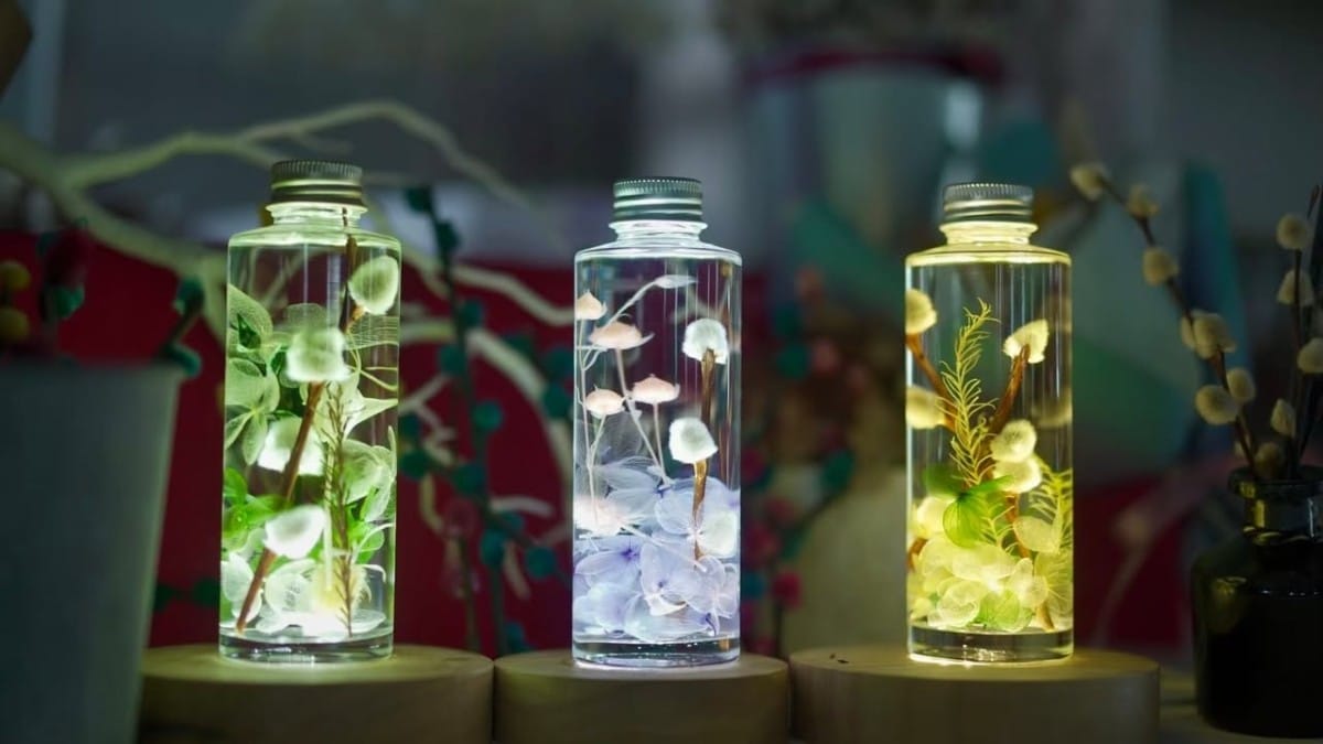 三星銀柳鄉 永續行動照片